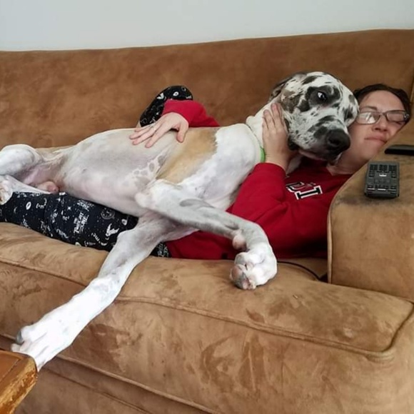 MEET THE POSHER - Picture 2 of 8